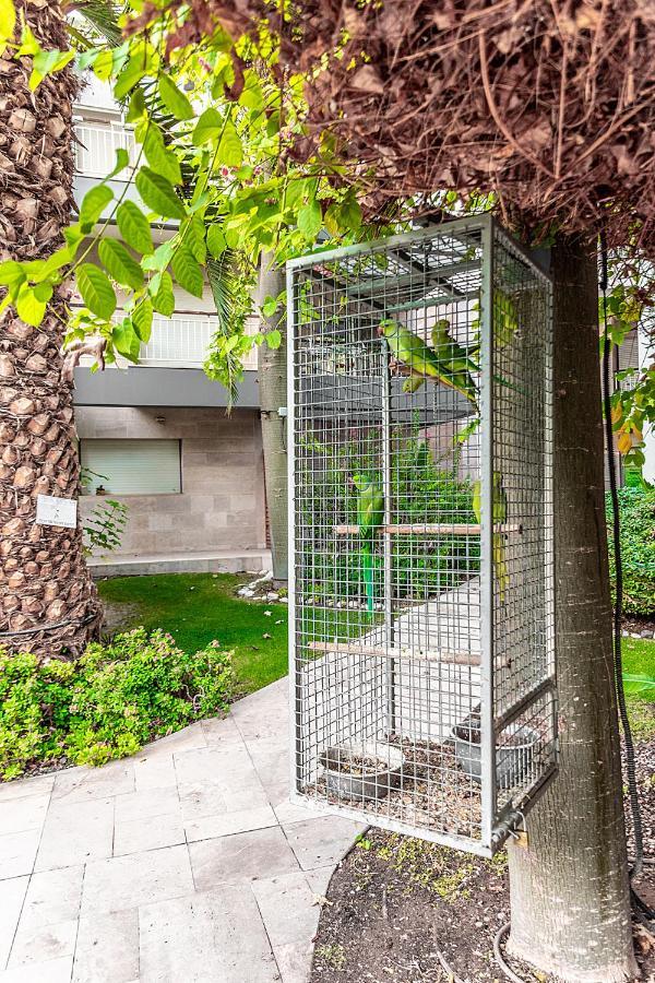 Garden Suite & Pool Ejlat Zewnętrze zdjęcie