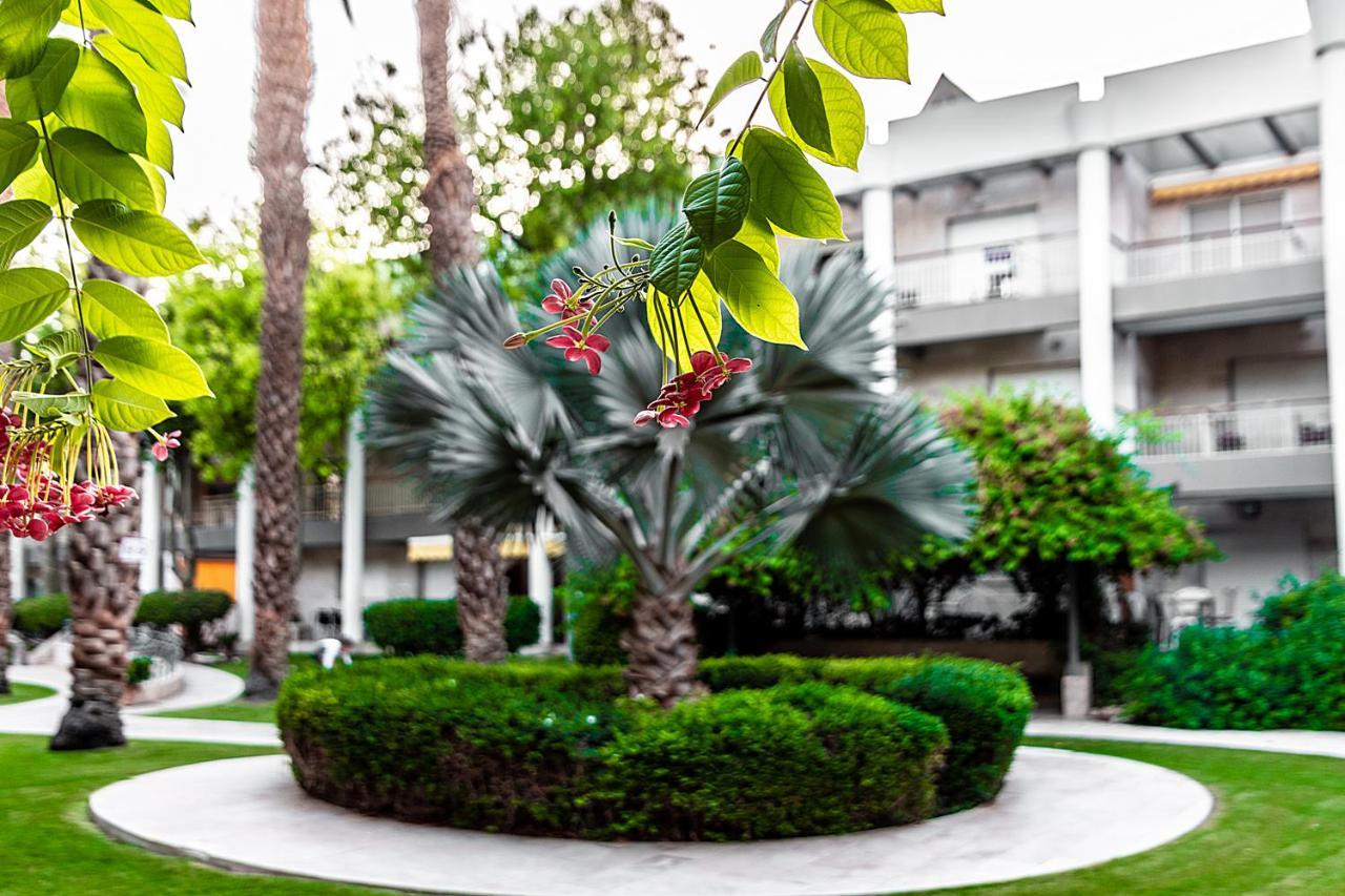 Garden Suite & Pool Ejlat Zewnętrze zdjęcie